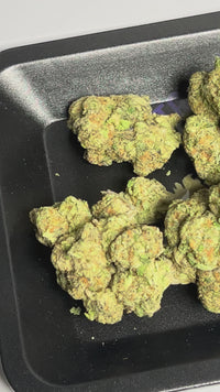 Crunch Berries - Indica