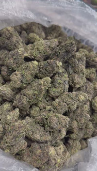 Permanent Marker - Bulk