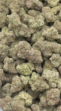 Exotic Don Merfos - Bulk - Hybrid