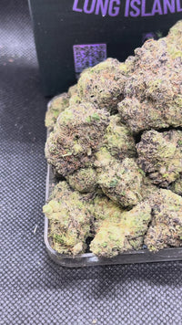 🍔 ⛽️ Exotic HashBurger - Hybrid