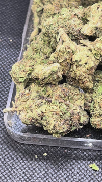 🍑🥧 Georgia Pie - Hybrid - Dessert Terps