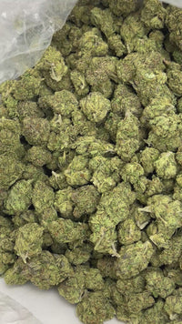🍋🌈 Sour Zkittlez - Hybrid