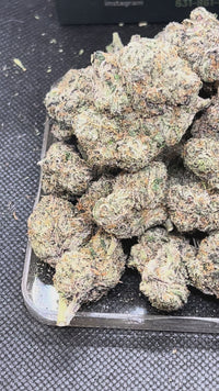 🍬🫐 Gumbo - Hybrid