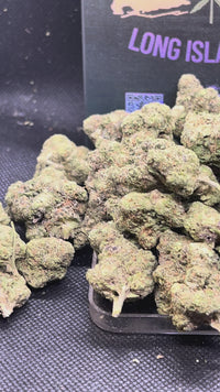 🍬🌿 Gusher Mintz Indoor - Hybrid