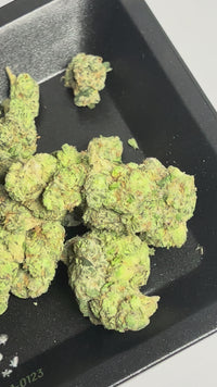 Gary Cherry - Bulk - Hybrid