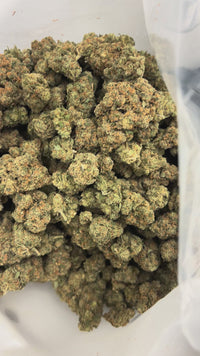 Jack Herer Indoor - Bulk - Sativa