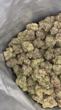 Blue Andes - Bulk - Indica