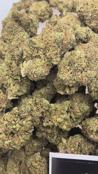Kush Mintz (Bulk)- Hybrid