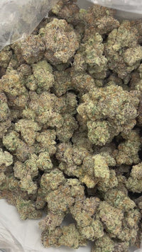 🍇 👊 Purple Punch - Indica